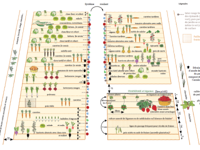Actu #1 du blog "le bon pattern"